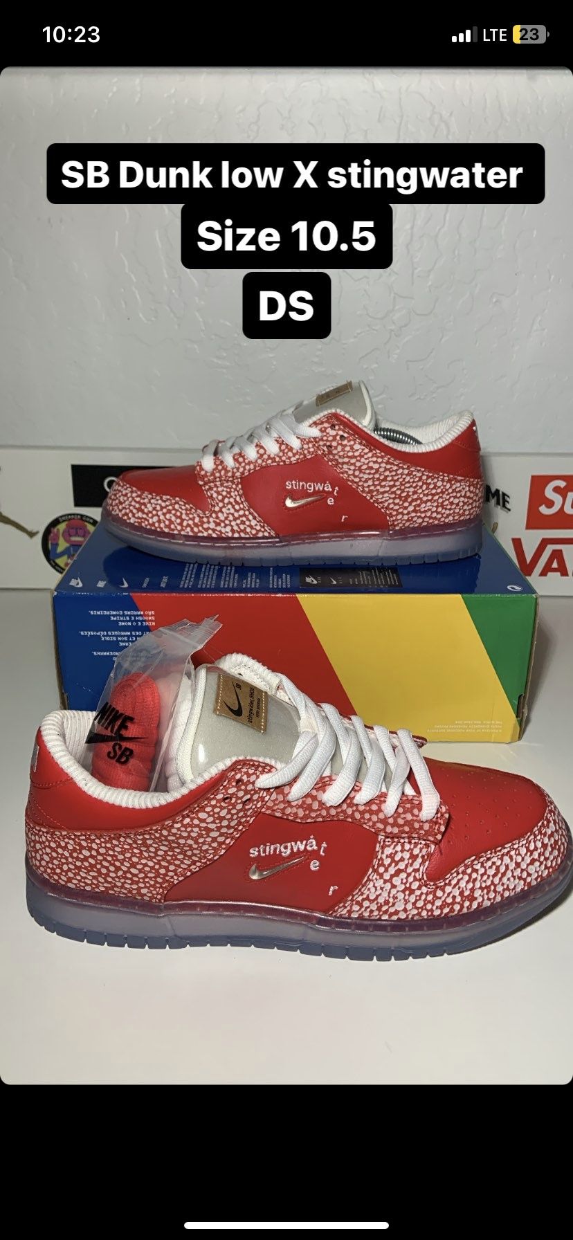 SB Dunk Low X Stingwater