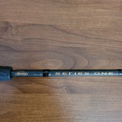 Berkley Series One Spinning Rod