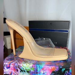 Beautiful Brand New Exotic Clear Heels