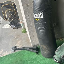 Everlast Bag & Wall Mount