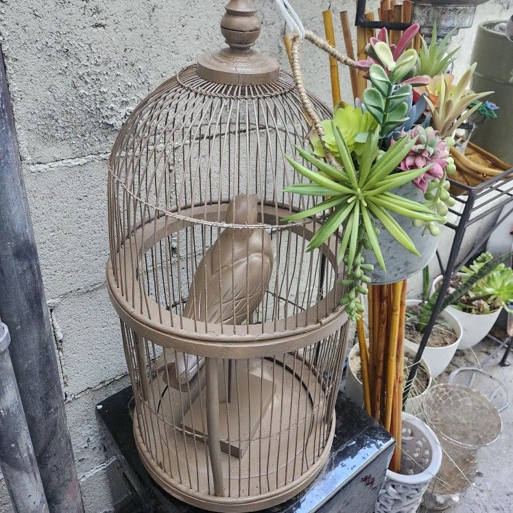 Plant Sale ☘️🌵 🌸🌹 🌴🌴 