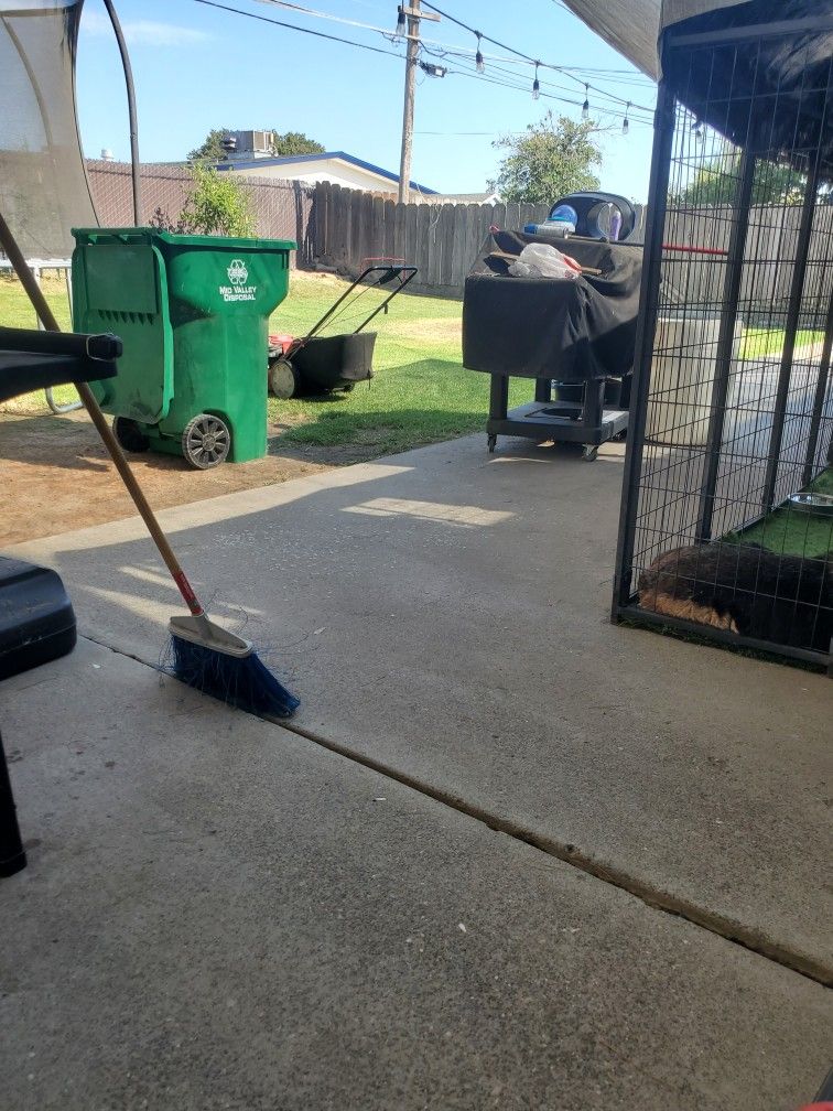 Dog Cage 