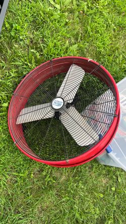 Fan