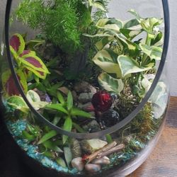 Terrarium
