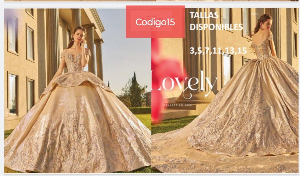 Beautiful Quinceanera Dress Made In Mexico