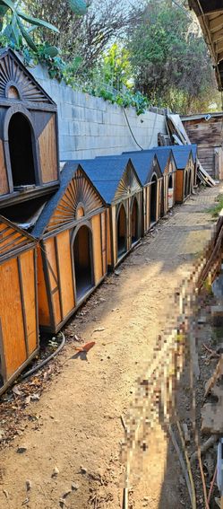 Large Houses Available