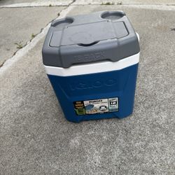 Igloo Cooler 12 Quarts