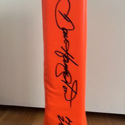 Dan Hampton autographed replica pylon