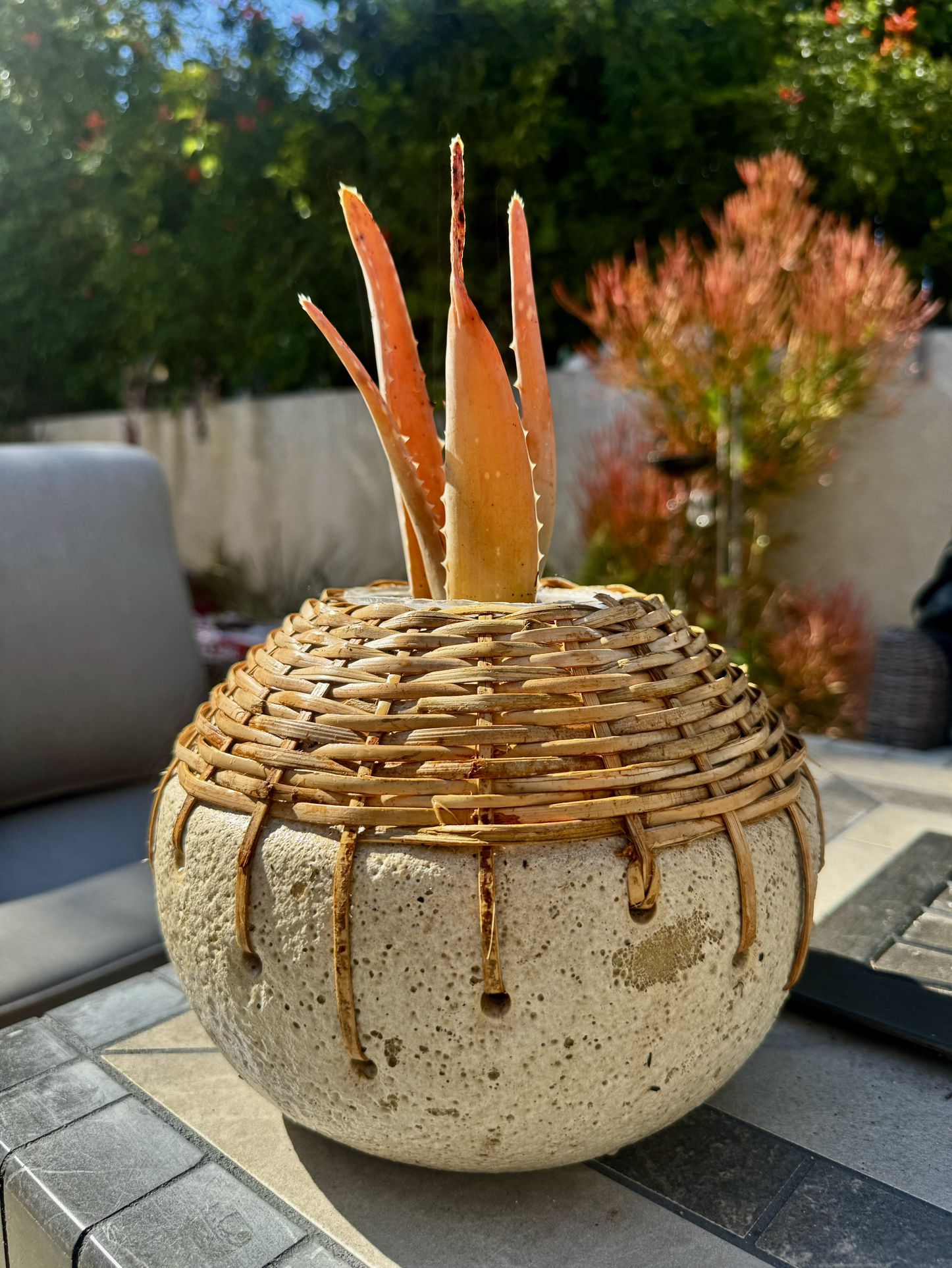 🧡 Orange Aloe Vera Flame 🔥 In Artisan Boho Ceramic Bamboo Planter 🧑‍🎨 