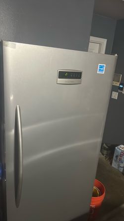 Standing Freezer