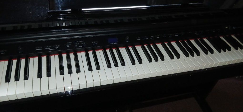 Williams Electronic Piano!
