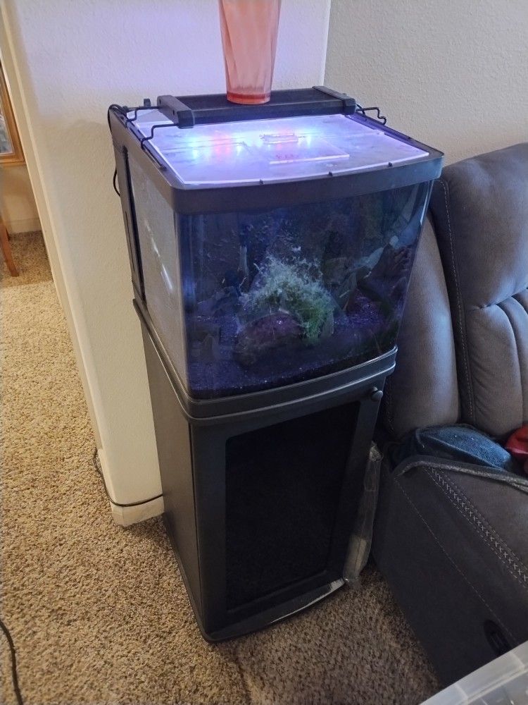 8 Gal Fishtank + All Accessories