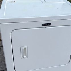  LARGE CAPACITY ELECTRIC DRYER 