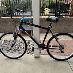 Men’s Bike 