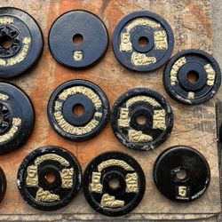 Steel Barbell, 2 Steel Dumbbell Bars And Weights 