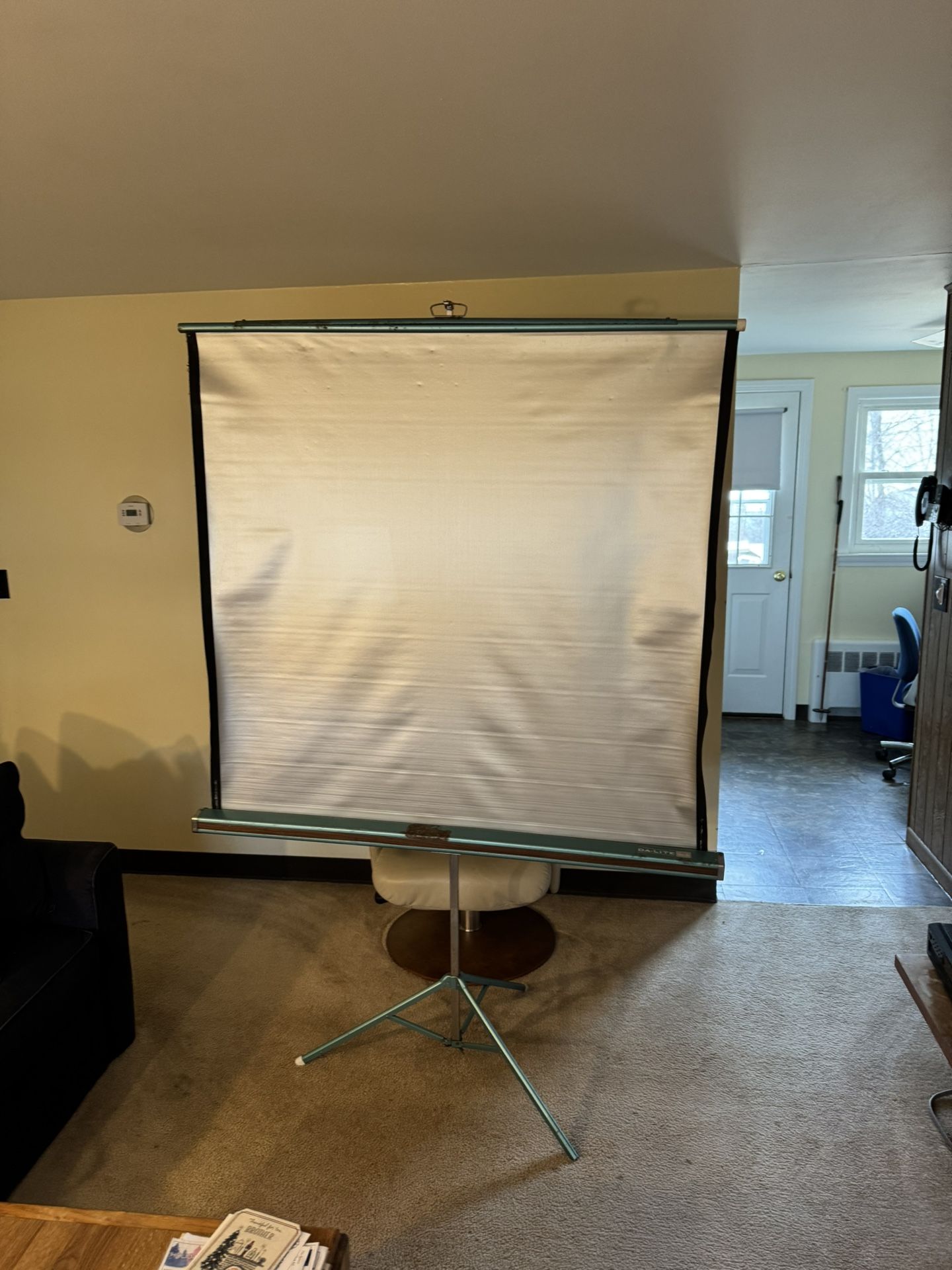 Movie Screen / Projector Screen
