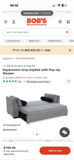 Couch with sleeper