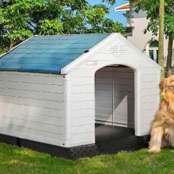 Weather-Safe Dog Houses in Any Size - Protection in Every Season old window