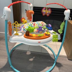 Fisher price jumper 