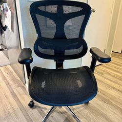 Sihoo Doro C300 Ergonomic Chair