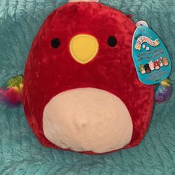 Paco Squishmallow