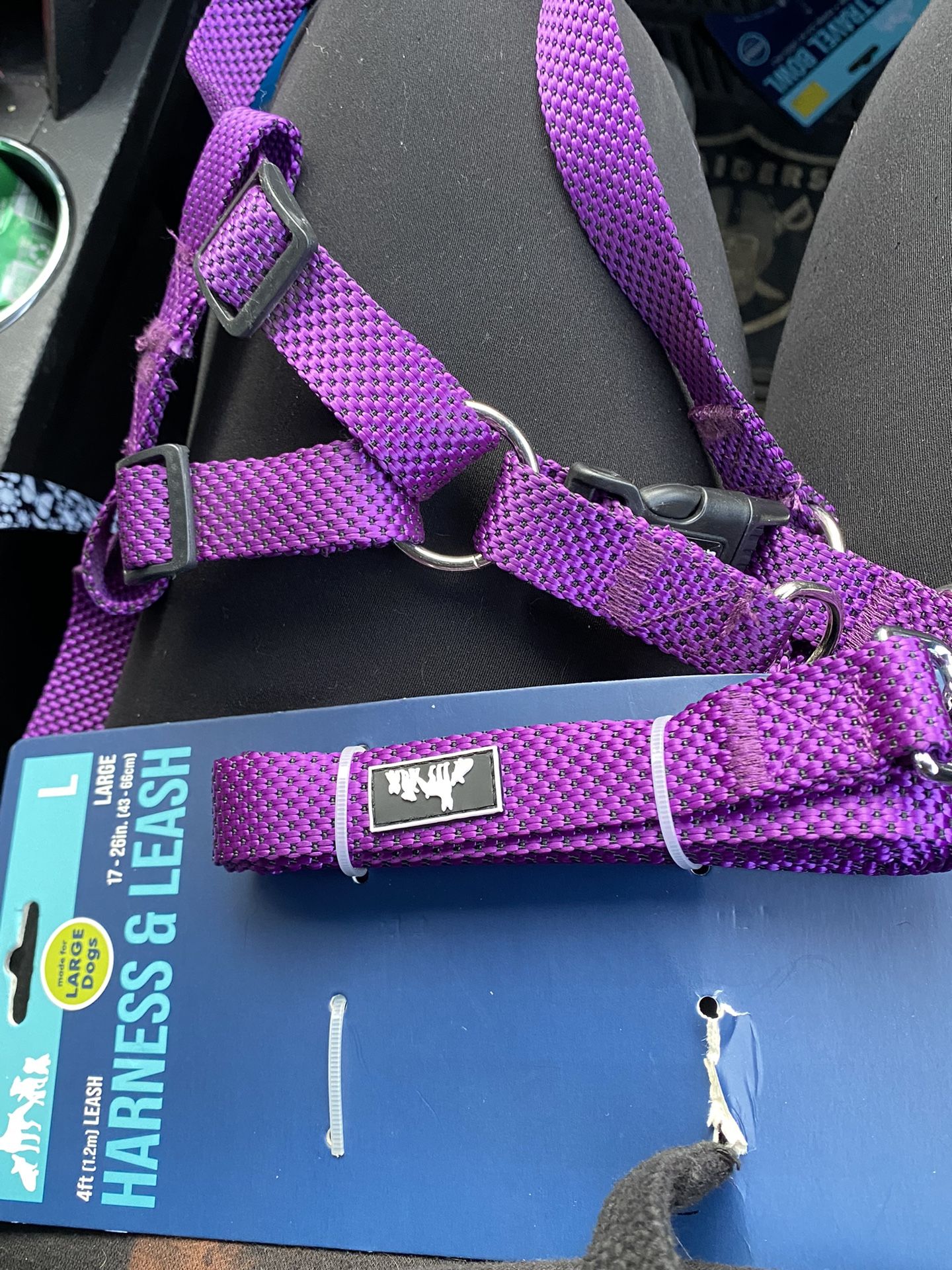 Leash And Harness