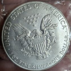 silver coin