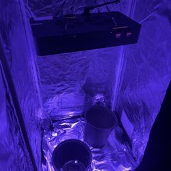 Indoor Gardening Grow Tent - full set up