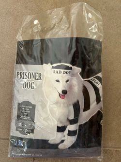Dog Halloween costume