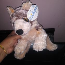 Tedy Bear