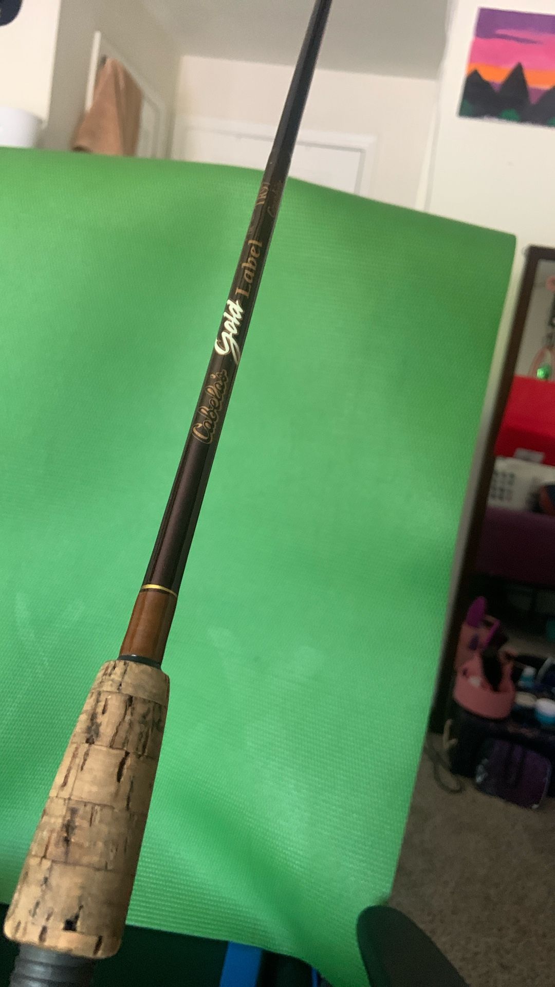 cabela's tournament zx spinning combo Tournament ZX by Daiwa spinning reel