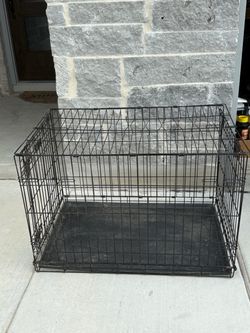 Large Dog Crate icrate