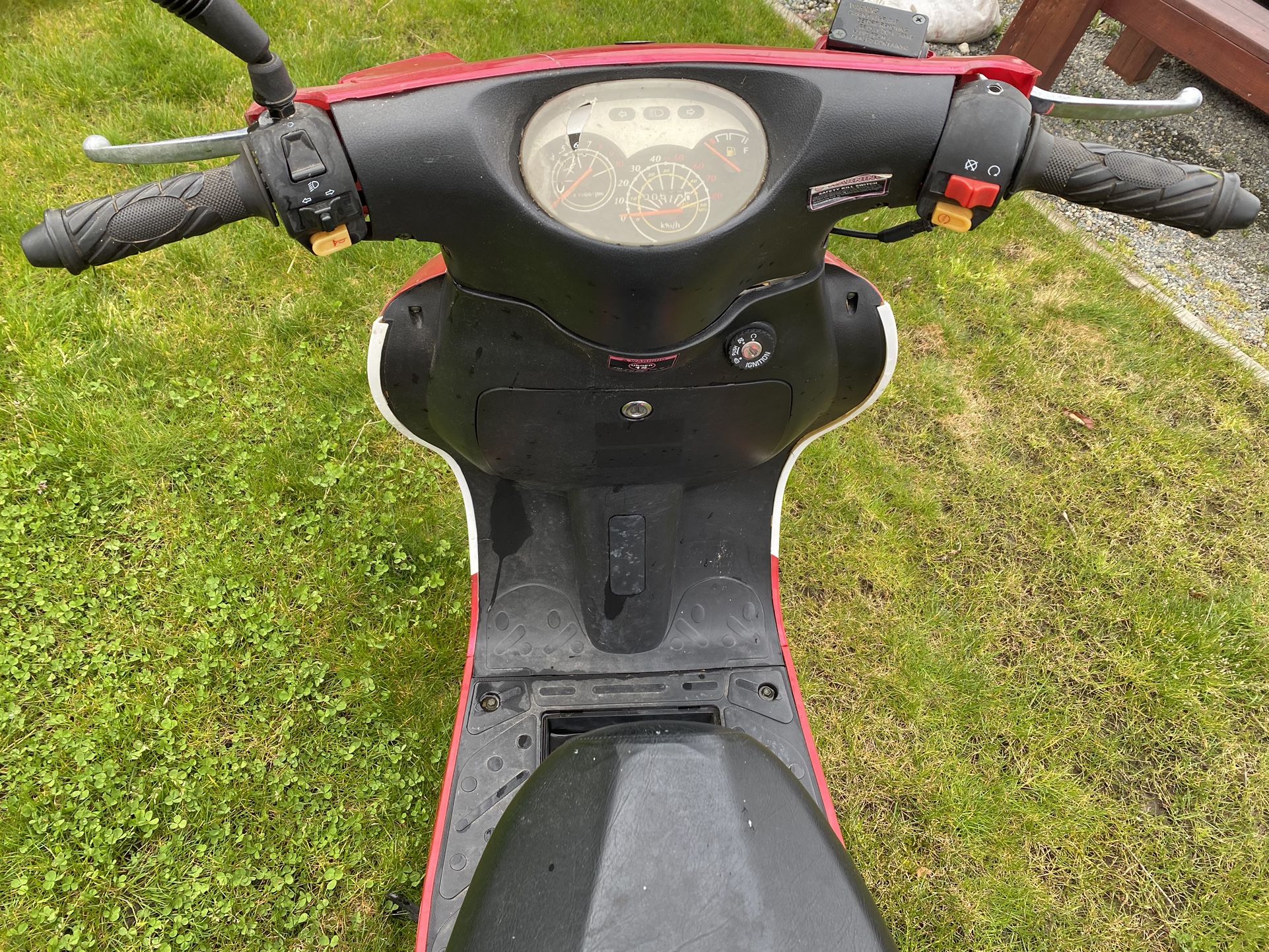 mopheads for sale near me