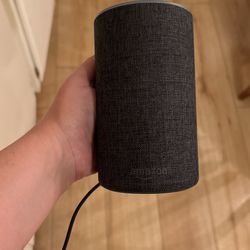 Alexa Echo