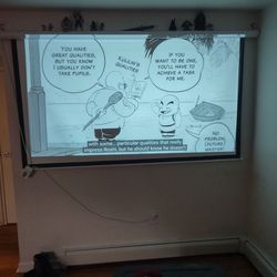 Projection Screen ( Pick Up Only )
