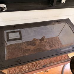 Reptile Enclosure, Heat Lamp And UV Light