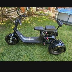 Citycoco Fatbear Etrike Scooter 60v Electric 