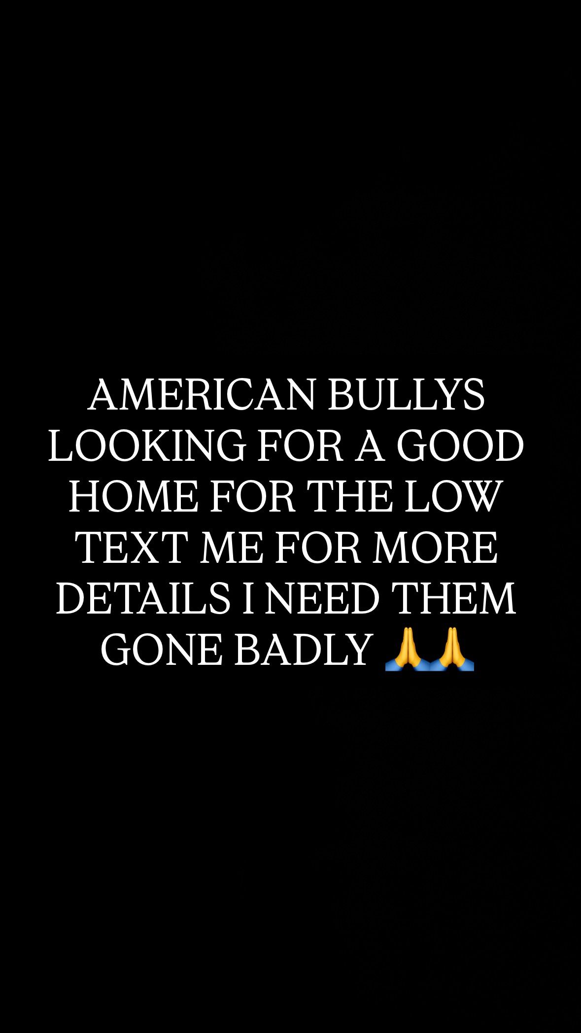 AMERICAN BULLYS NEED GONE ASAP