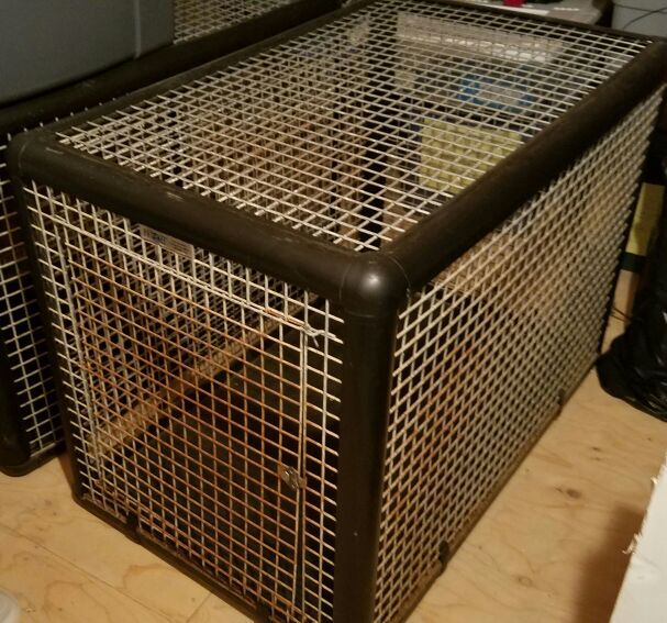 Petzazz dog clearance crate