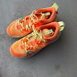 Nike Jordan Why Not Size 11