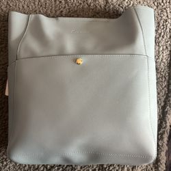 Seammer Light Blue Purse 
