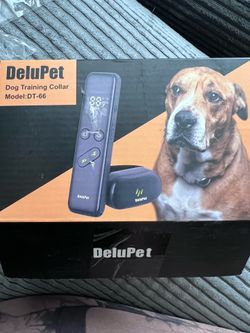 Dog training collar