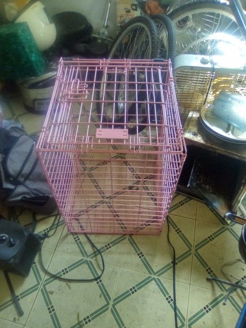Pink Dog Cage Kennel No Tray Chiwawa Unique 35 With Tray Trey