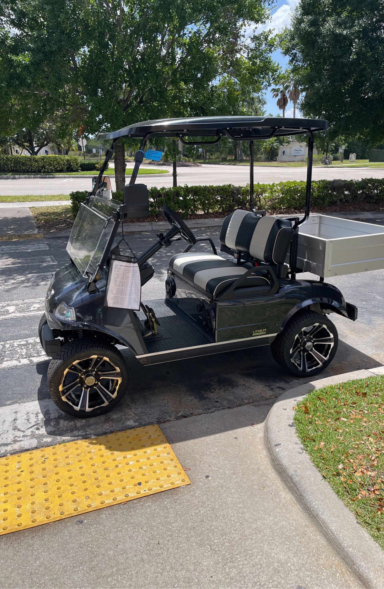 New Lithium Battery Golf Cart