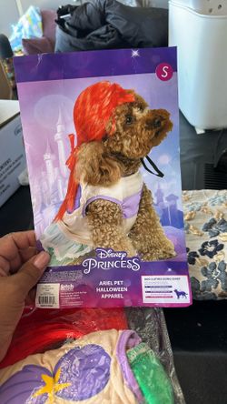 Pet costume