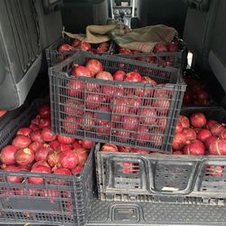 Fresh New Load Of Pomegranates 