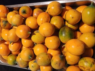 Sweet Mexican Passion Fruit