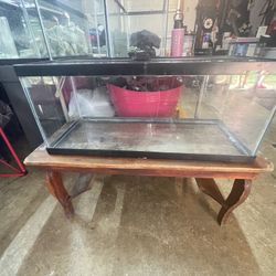 29 Gallon Aquarium 