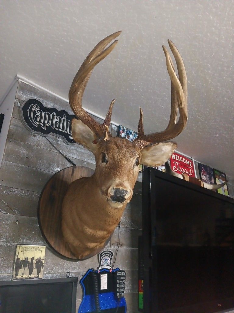 Mount