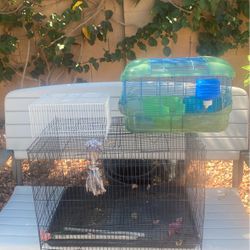 Hámster and Bird Cage   Both Together For $ 20 